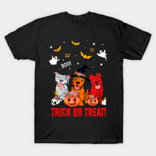 Trick Or Treat Pitbull Dog Halloween Gift T-Shirt